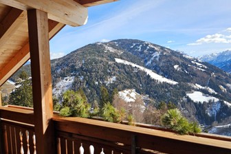 Farmhouse apartments Brunnerhof