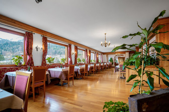 Hotel Des Alpes