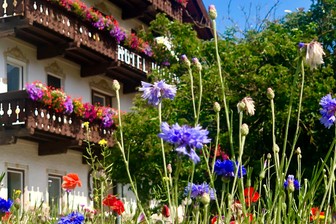 Hotel Holzer