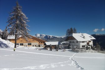 Ferienwohnungen auf dem Bauernhof Stücklhof