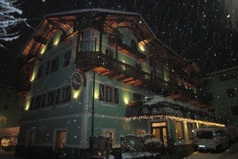 Hotel Alpina