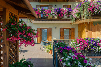 B&B in agriturismo Coryletum - Bosco di Noccioli