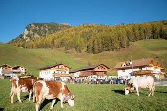Appartamenti in agriturismo Mooserhof