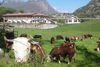 Pensione in agriturismo Le Rocher Fleurì