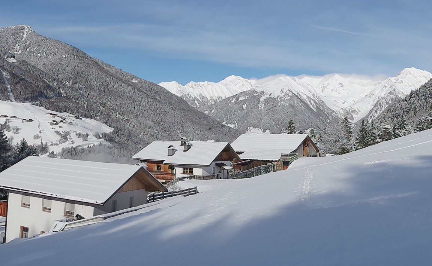 Fate della Notte- Del Bosco -Les Alpes