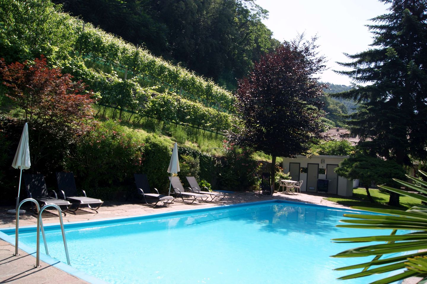 B&B + Appartamenti In Agriturismo Sittnerhof - Merano - Merano E Dintorni