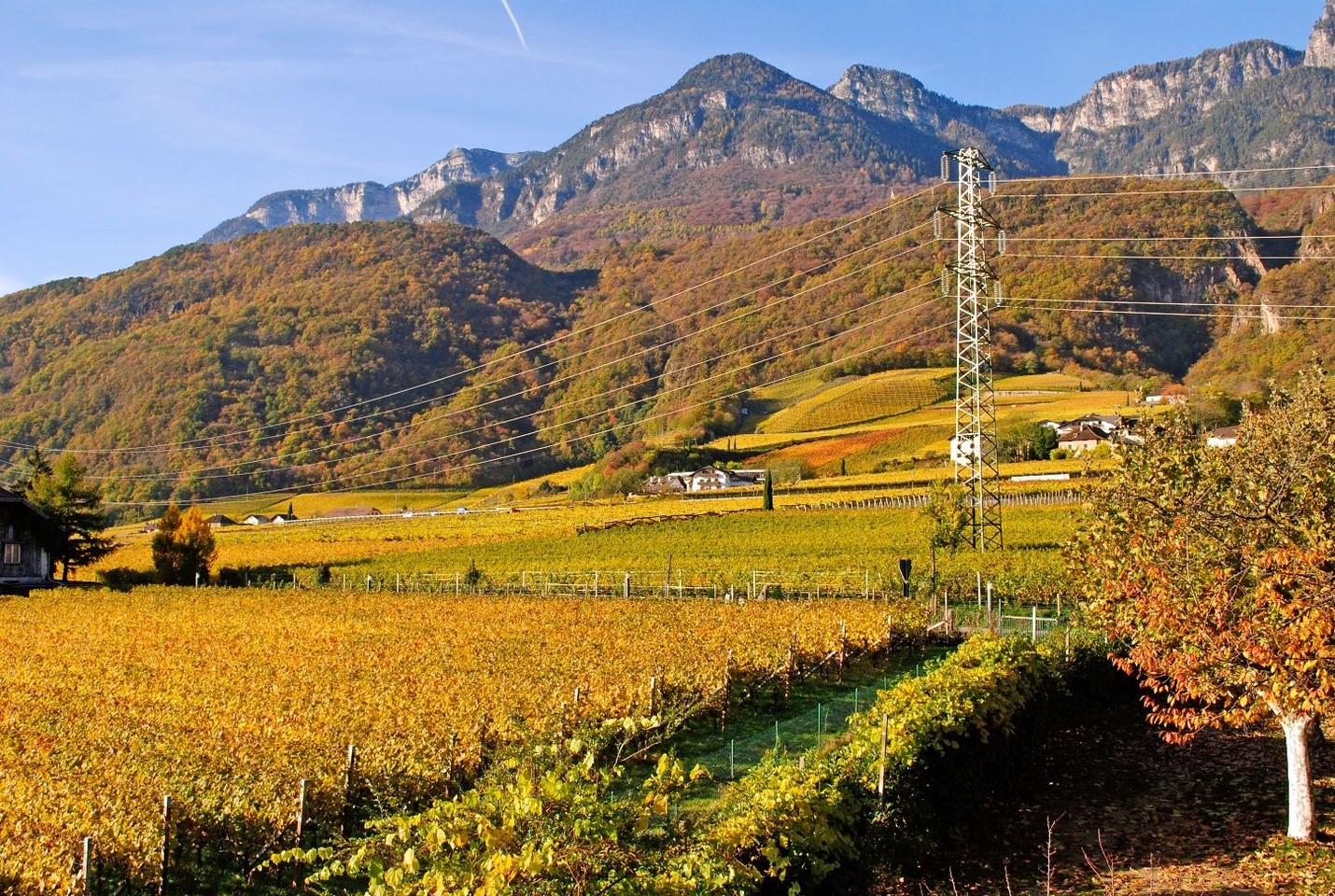 Ferienwohnung Seespiegel - St. Josef am See - Bozen und Umgebung