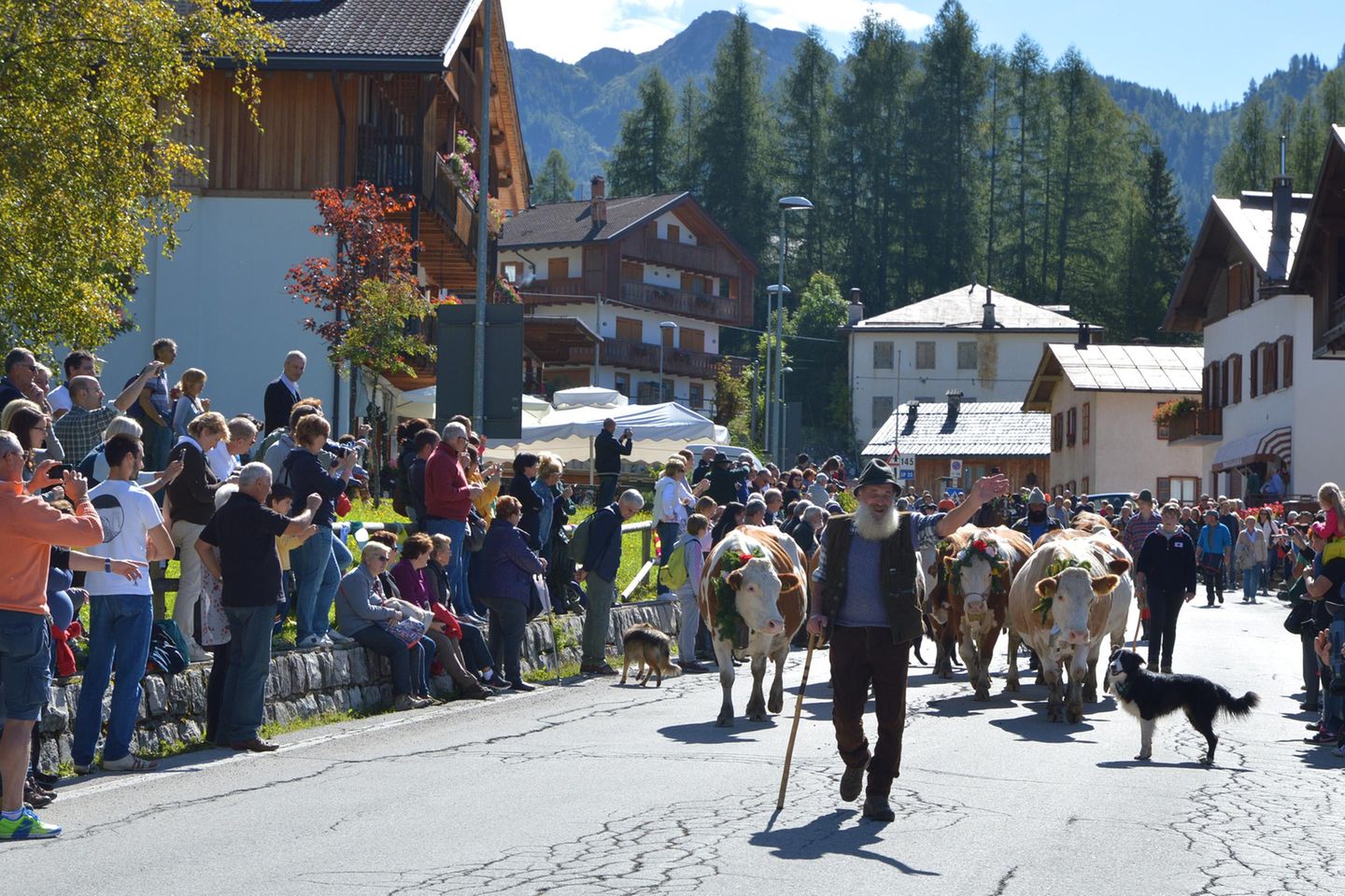 Pro loco Selva di Cadore - Selva di Cadore - Monte Civetta