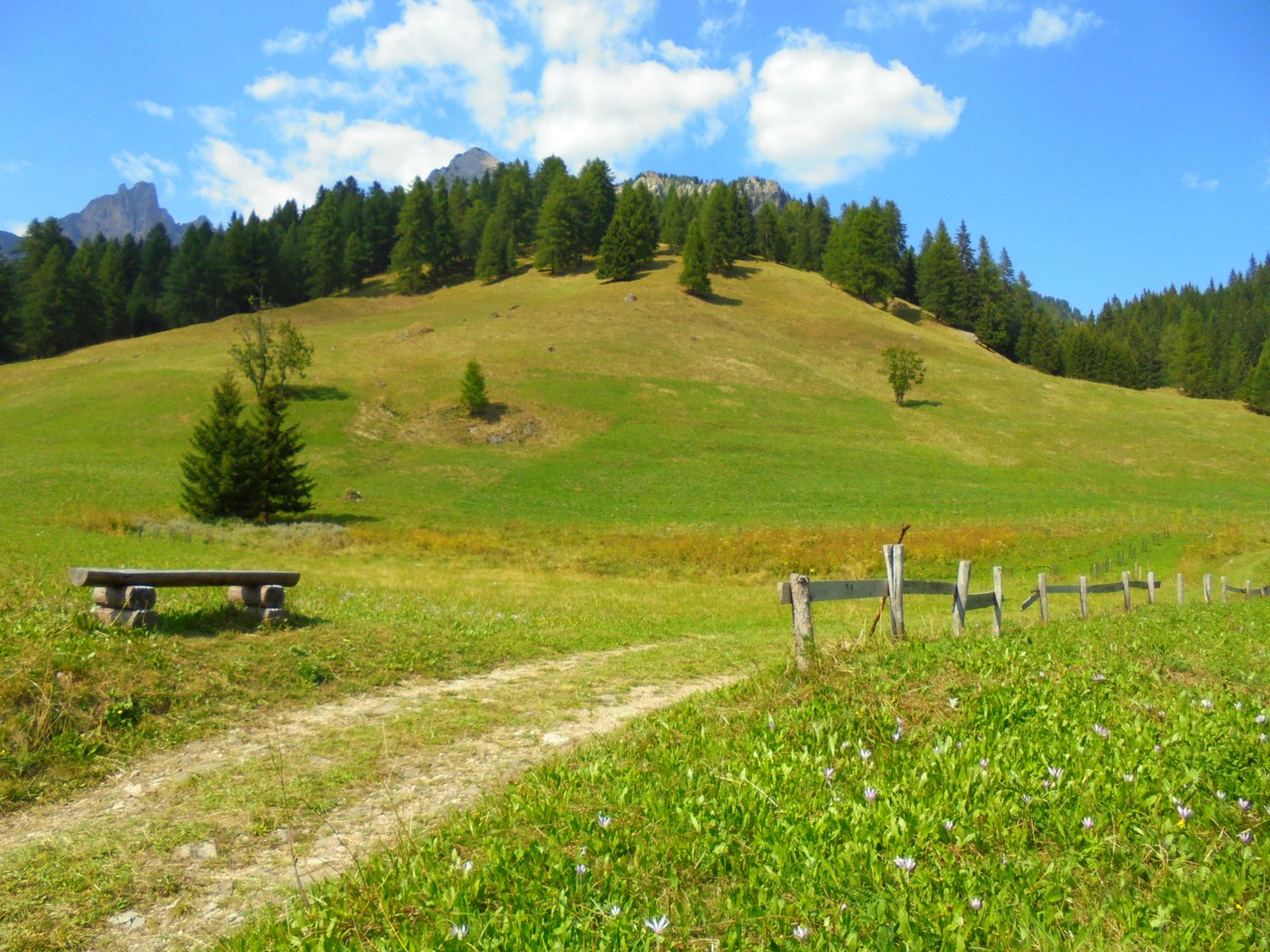 Pro loco Selva di Cadore Selva di Cadore Monte Civetta
