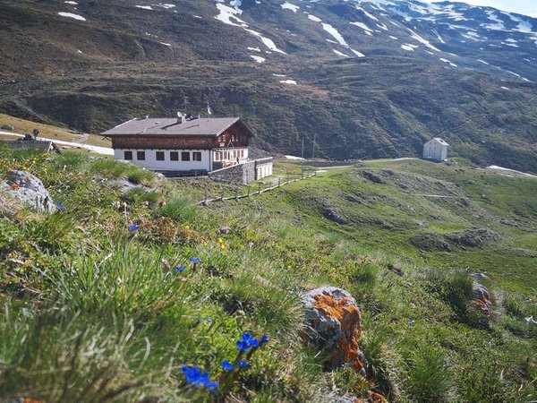 Foto Außenansicht im Sommer Sesvenna