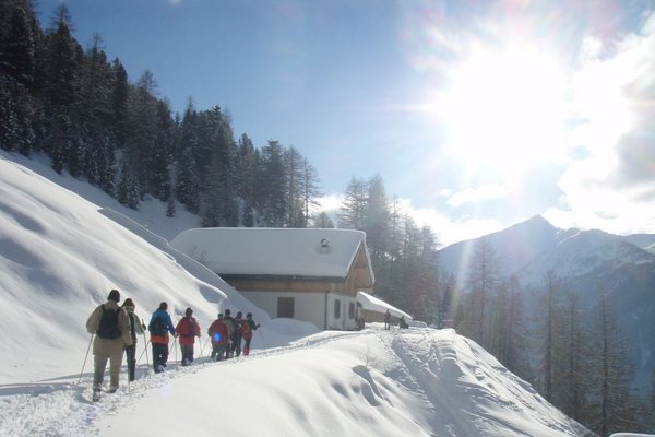 Attività invernali Val di Sole e Val Rendena