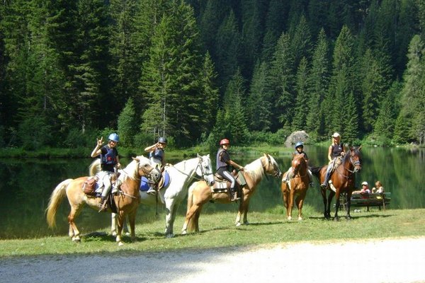 Attività estate Val di Sole e Val Rendena