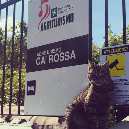 Bed & Breakfast Cà Rossa com.xlbit.lib.trad.TradUnlocalized@8186d08