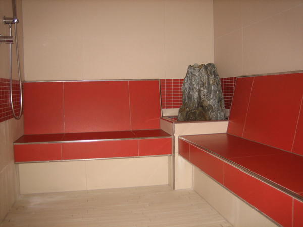 The Turkish bath