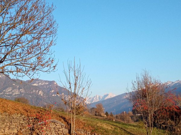 Panorama Castello di Fiemme