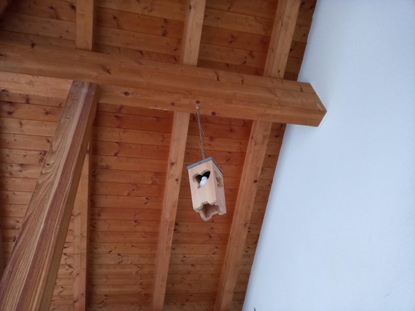 Foto di alcuni dettagli Sardagna Luigi