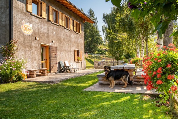 Foto esterno Appartamento in baita Angomà