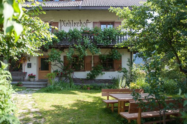 Foto Außenansicht im Sommer Pichlerhof