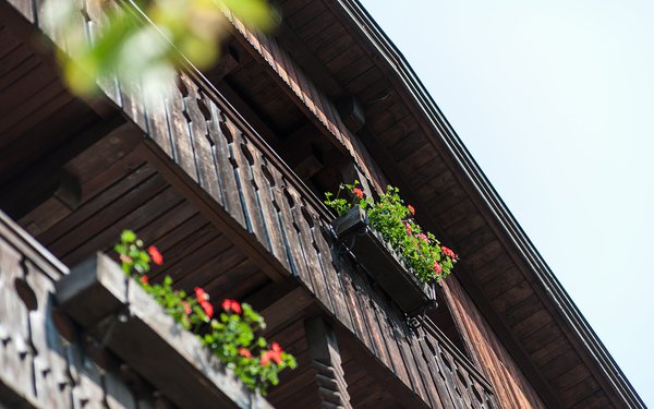 Foto Außenansicht im Sommer Pichlerhof
