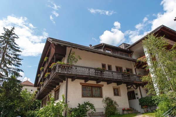 Foto Außenansicht im Sommer Pichlerhof