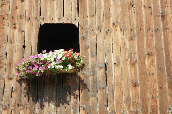 Foto esterno in estate Köhlhof