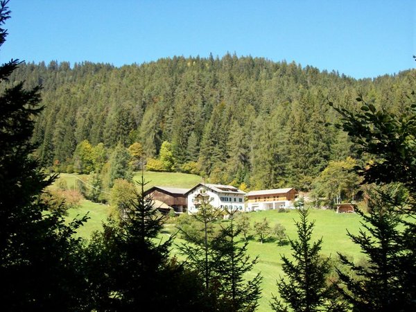 La posizione Appartamenti in agriturismo Köhlhof Nova Ponente