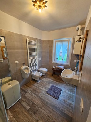 Foto del bagno Affittacamere Pedibosco bed