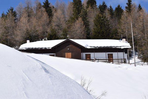 Winter Präsentationsbild Berghütte mit Zimmern Chiampizzulon