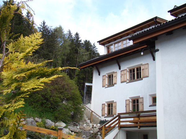 Foto Außenansicht im Sommer Zollerhof