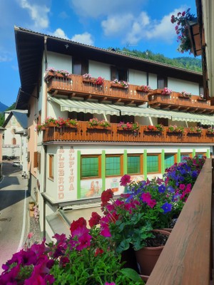Foto esterno B&B-Hotel Alpina