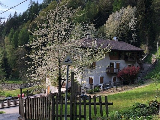 Foto esterno Appartamento Maso Zont