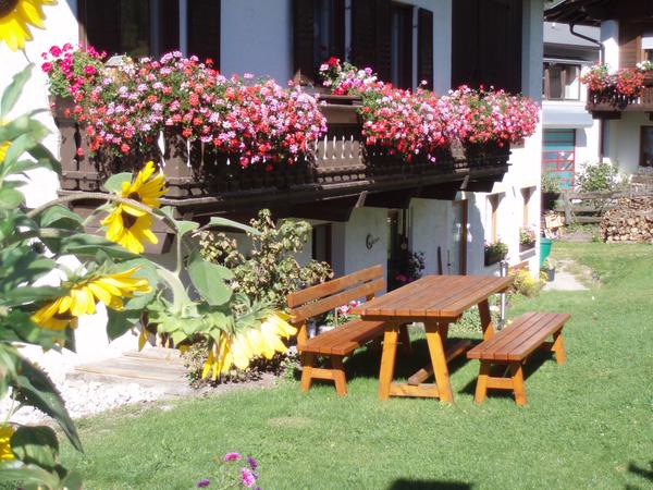 Foto vom Garten Rasen im Antholzertal
