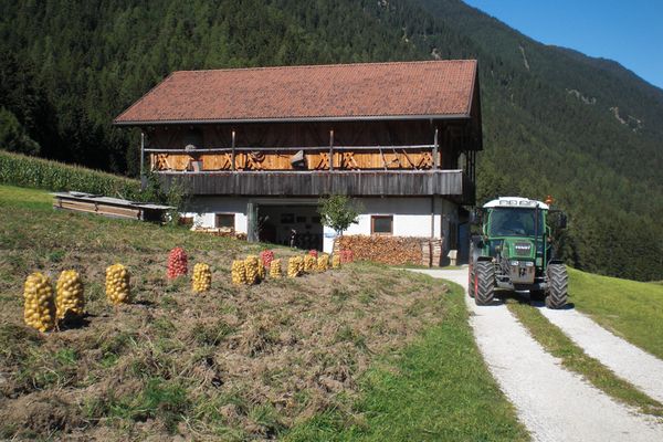 Bildergalerie Sommer