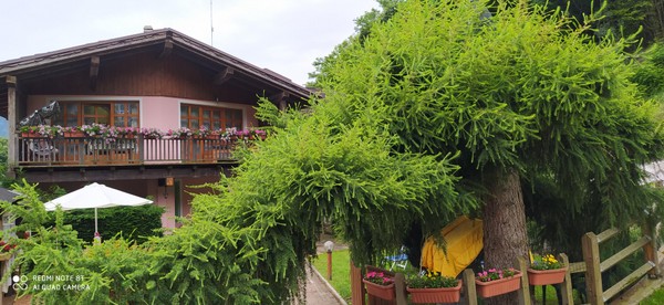 Foto esterno Bed & Breakfast Al Larice