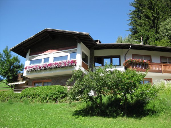 Foto Außenansicht im Sommer Haus Helga