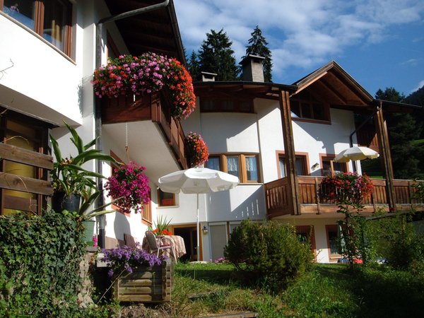 Foto Außenansicht im Sommer Haus Helga