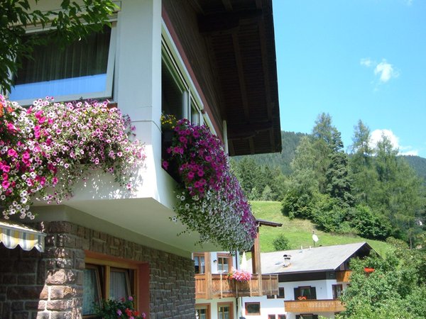 Photo exteriors in summer Haus Helga