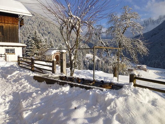 Foto esterno Appartamenti in agriturismo Vöstl - Hof