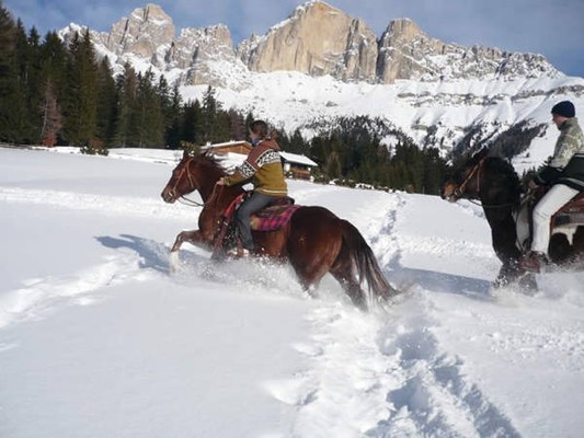 Farmhouse apartments Angerle - Alm Carezza/ Karersee - Nova Levante / Welschnofen