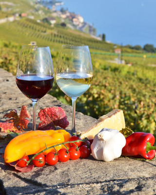 Weinkellerei Sandro Cles - Tuenno - Ton