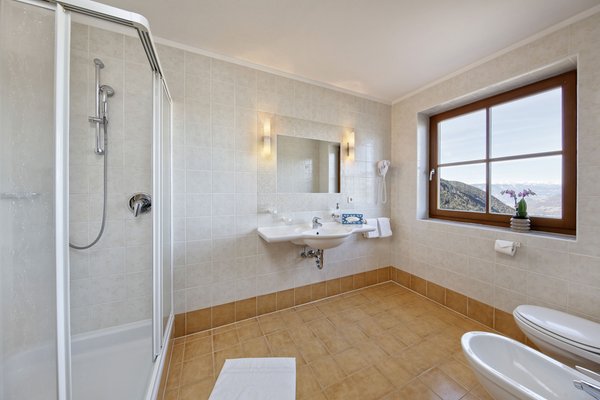 Foto del bagno Hotel Tschantnaihof