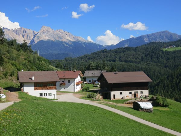 Photo exteriors in summer Unterkoflhof