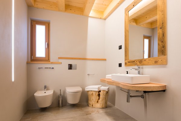 Photo of the bathroom Latemar Fiemme Apartments
