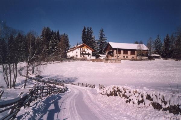 Foto Außenansicht Ferienwohnungen auf dem Bauernhof Bachnerhof