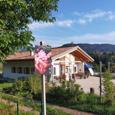 Photo exteriors Farm Restaurant Maso Flonkeri