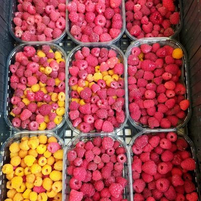 Il cibo
