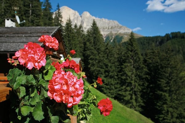 Foto della terrazza