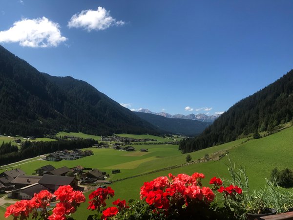 Bildergalerie Sommer
