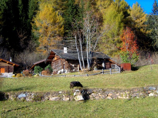 Foto esterno Accompagnatore di media montagna Paola Barducci