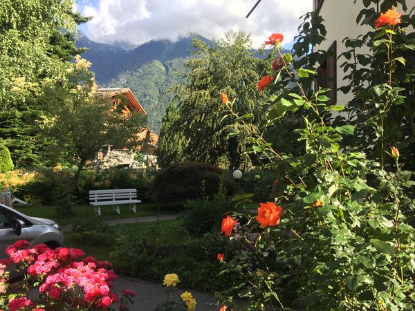 Photo of the garden Pinzolo (Pinzolo - Val Rendena)